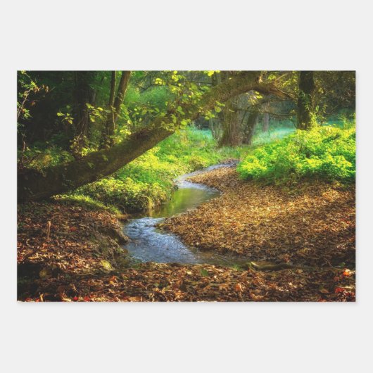 フォレストクリーク美しい自然景観写真 ラッピングペーパーシート (正面2)