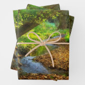 フォレストクリーク美しい自然景観写真 ラッピングペーパーシート (インサイチュ)