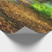 フォレストクリーク美しい自然景観写真 ラッピングペーパー (角)