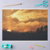 フォレストサンセットデクページティッシュペーパー 薄葉紙 (クラフト)