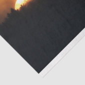 フォレストサンセットデクページティッシュペーパー 薄葉紙 (詳細)