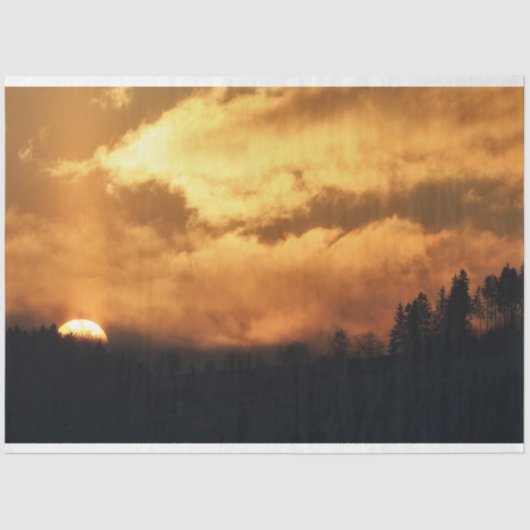 フォレストサンセットデクページティッシュペーパー 薄葉紙 (正面)