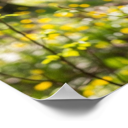 フォレストシカ ポスター (角)