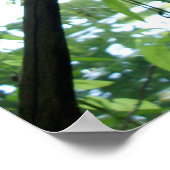 フォレストスタッド ポスター (角)