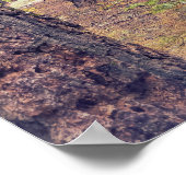 フォレストセコイア ポスター (角)