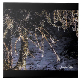 フォレストダイヤモンド タイル