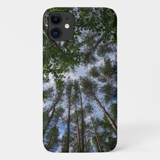 フォレストツリーズスカイベラルーシ自然iPhone 11ケース Case-Mate iPhoneケース (裏面)