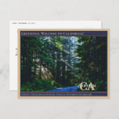 フォレストツリーズロード通りアベニューパーベイドサンビーム  ポストカード (正面/裏面)