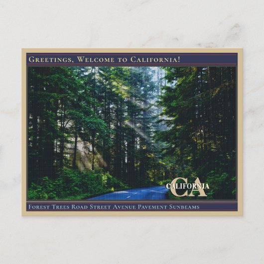 フォレストツリーズロード通りアベニューパーベイドサンビーム  ポストカード (正面)