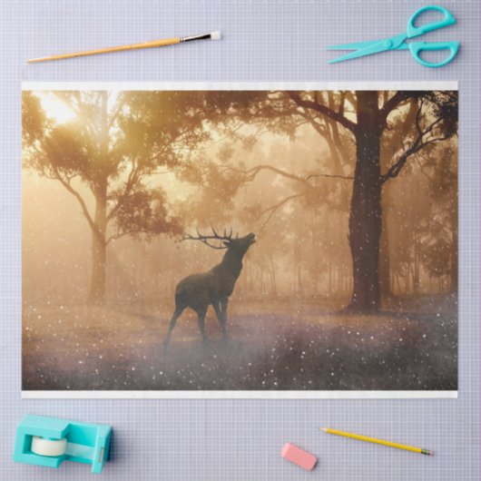 フォレストディアデクページティッシュペーパー 薄葉紙 (クラフト)