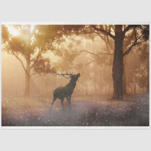 フォレストディアデクページティッシュペーパー 薄葉紙 (正面)