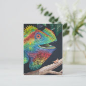 フォレストドラゴン ポストカード (スタンド正面)