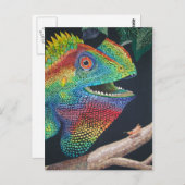 フォレストドラゴン ポストカード (正面/裏面)