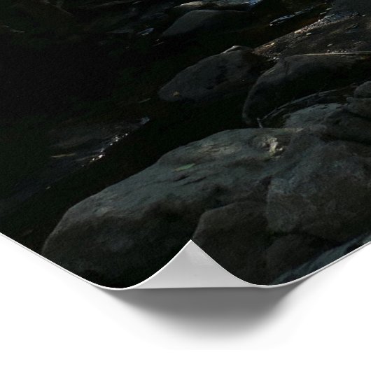 フォレストニアハンターズビーチ ポスター (角)