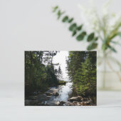 フォレストニアハンターズビーチ ポストカード (スタンド正面)