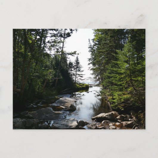 フォレストニアハンターズビーチ ポストカード (正面)