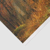 フォレストパス秋13デコページティッシュペーパー 薄葉紙 (詳細)