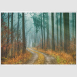 フォレストパス秋13デコページティッシュペーパー 薄葉紙