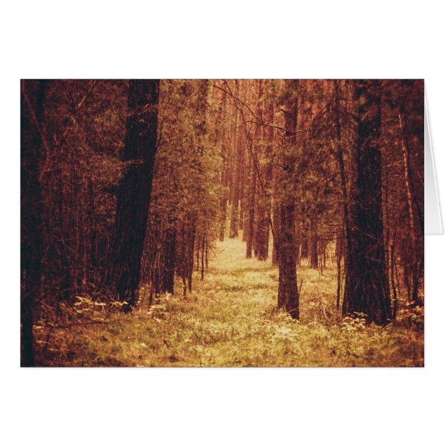 フォレストパス… (正面横)