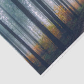 フォレストパス21デコページティッシュペーパー 薄葉紙 (詳細)