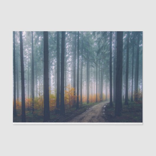 フォレストパス21デコページティッシュペーパー 薄葉紙 (正面)