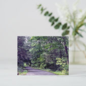 フォレストパス – はがき (スタンド正面)