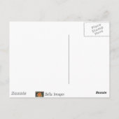 フォレストパス – はがき (裏面)