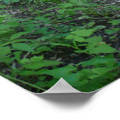 フォレストパス ポスター (角)