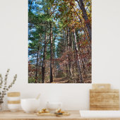 フォレストパス ポスター (キッチン)