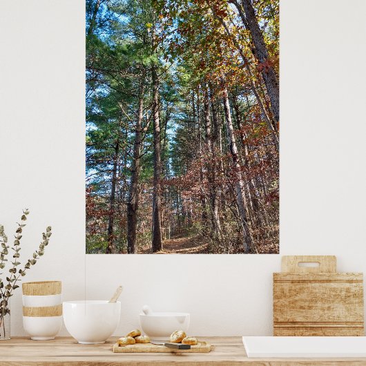 フォレストパス ポスター (キッチン)