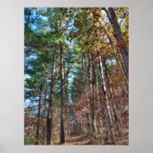 フォレストパス ポスター (正面)