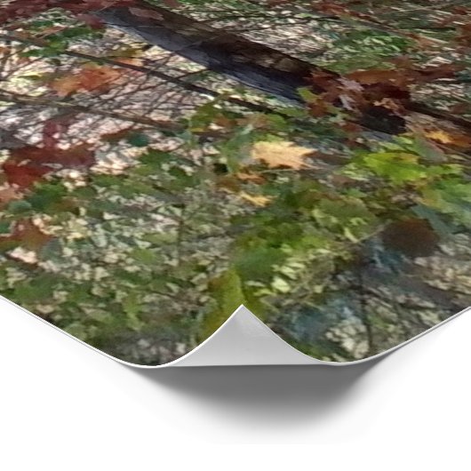 フォレストパス ポスター (角)