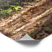 フォレストパス ポスター (角)