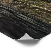 フォレストパス ポスター (角)