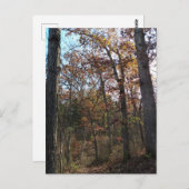 フォレストパス ポストカード (正面/裏面)