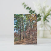 フォレストパス ポストカード (スタンド正面)