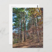 フォレストパス ポストカード (正面/裏面)