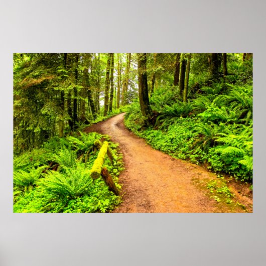 フォレストパークの歩道 ポスター (正面)