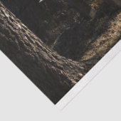 フォレストパークベンチデクページティッシュペーパー 薄葉紙 (詳細)