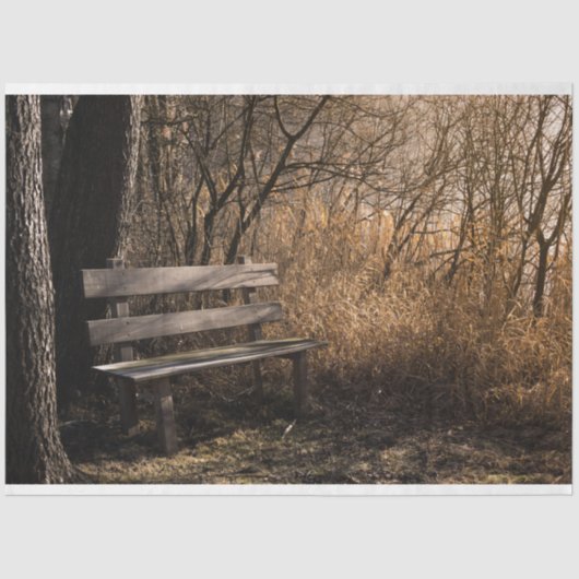 フォレストパークベンチデクページティッシュペーパー 薄葉紙 (正面)