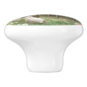 フォレストピアノ セラミックノブ (側面)