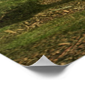 フォレストファンタジー ポスター (角)