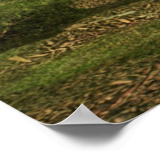 フォレストファンタジー ポスター (角)