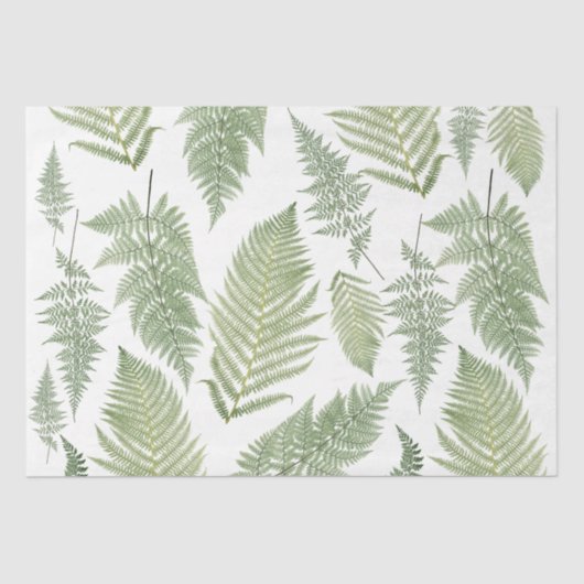 フォレストファーンフロンドズヴィンテージグリーンリー植物学 薄葉紙 (正面)