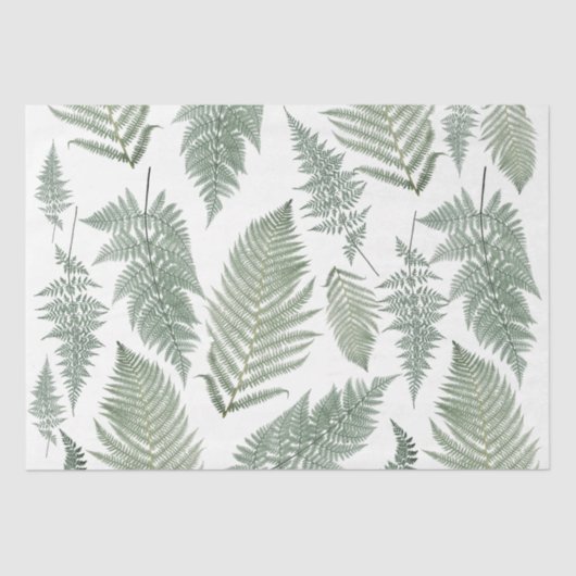 フォレストファーンフロンドズヴィンテージグリーンリー植物学 薄葉紙 (正面)