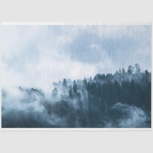 フォレストフォグバックグラウンド分離 薄葉紙 (正面)