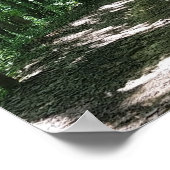 フォレストフォトポスター ポスター (角)