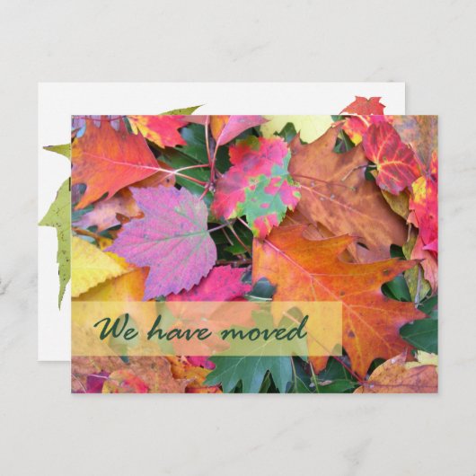 フォレストフロアの新しい住所テンプレート 案内ポストカード (正面/裏面)