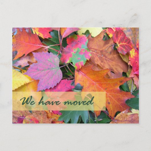 フォレストフロアの新しい住所テンプレート 案内ポストカード (正面)