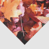 フォレストフロア紅葉ティッシュペーパー 薄葉紙 (詳細)